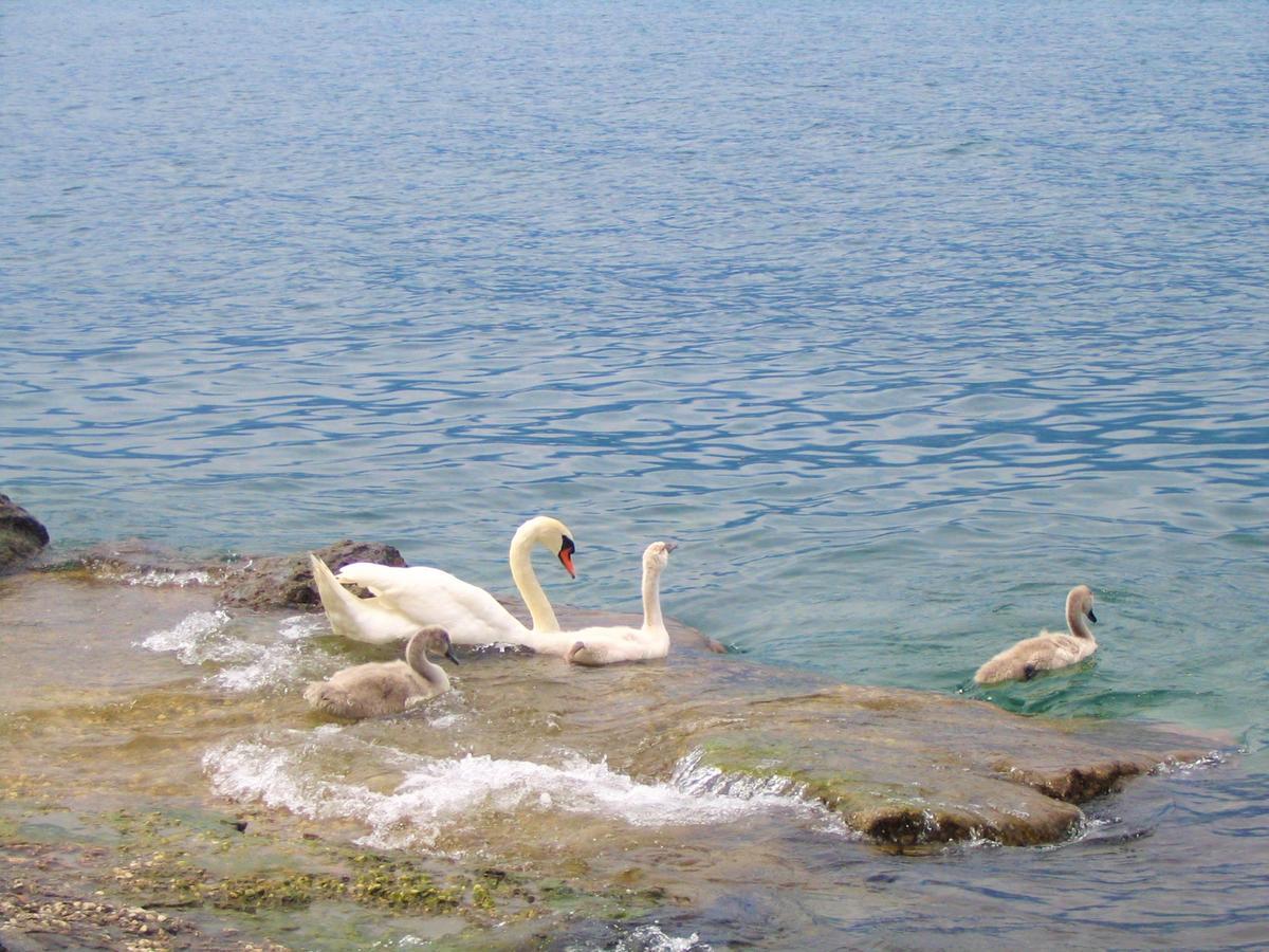 Hotel Residence Villa Beatrice Brenzone sul Garda Eksteriør bilde
